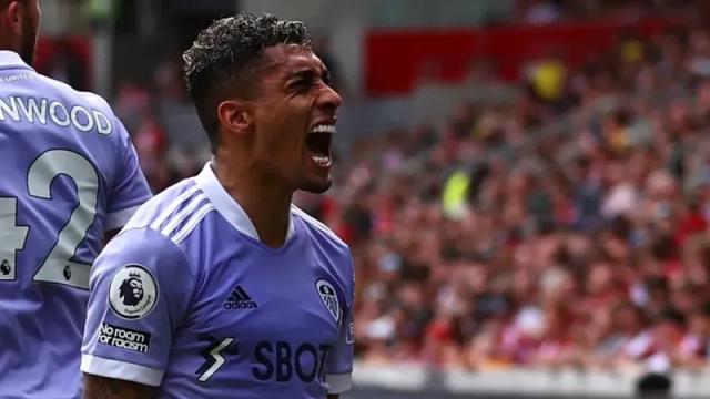 1656805023072049427.jpg 拉菲尼亚.webp.jpg